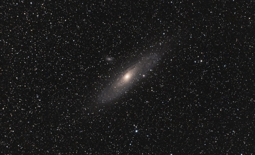 M31